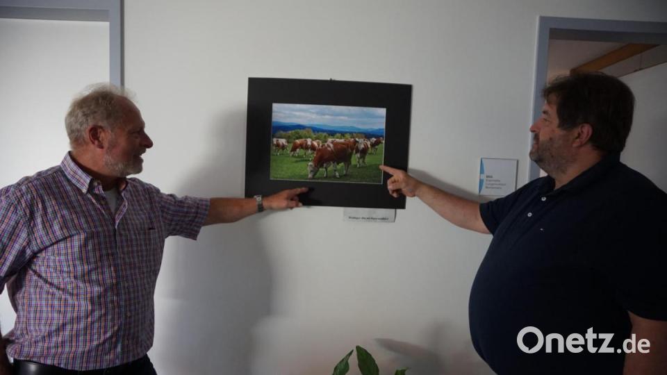 Fotograf Siegi Filipp (links) und Landwirt Günther Bock (rechts) beim Blick auf das Foto von der Weidinger Alm Bild: eib