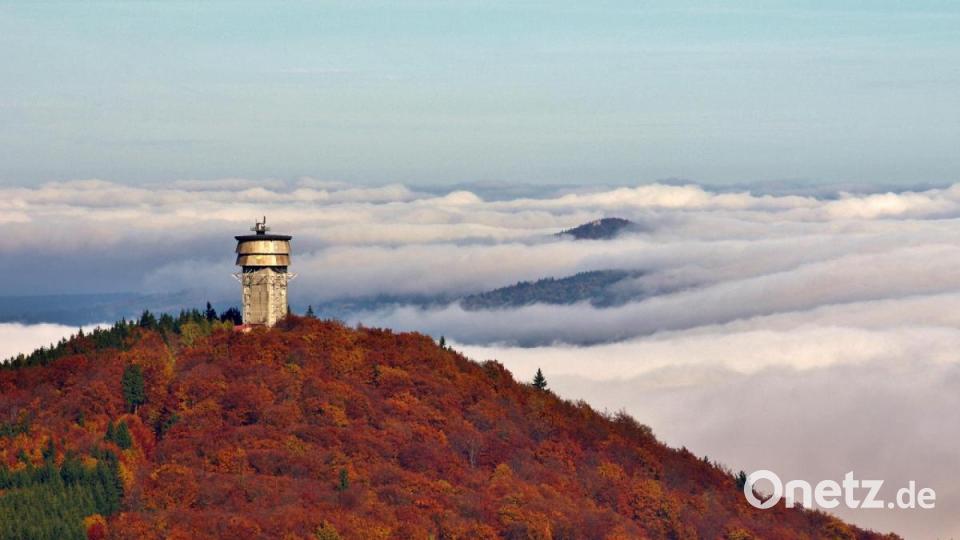 Der Zvon (Plattenberg) östlich von Plöß ragt im Herbst aus dem Wolkenmeer - aufgenommen vom Böhmerwaldturm Bild: Siegi Filipp/exb