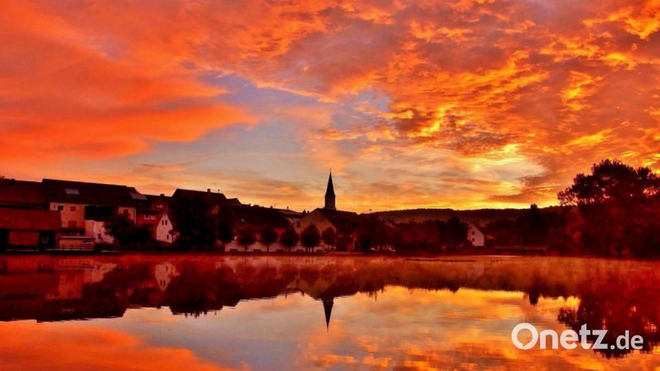 Der feuerrote Hahnenweiher Bild: Siegi Filipp/exb