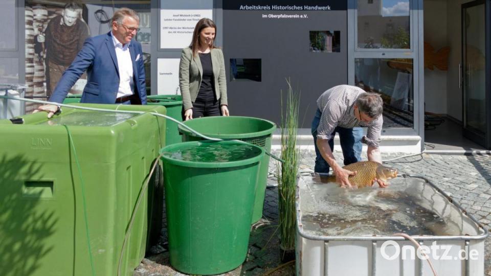 Bürgermeister Franz Stahl und Museumsleiterin Stefanie Süß ließen sich die Aktion nicht entgehen. Bild: tr