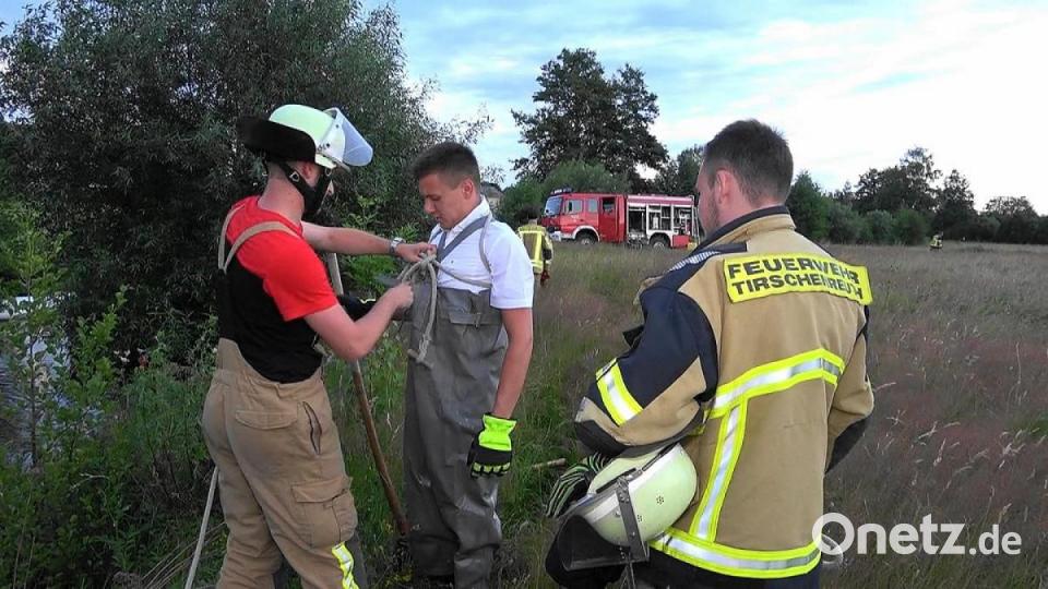 Ölsperren setzten Helfer der Feuerwehr Tirschenreuth nach einer Verschmutzung der Waldnaab beim Fischhofpark. Bild: nic