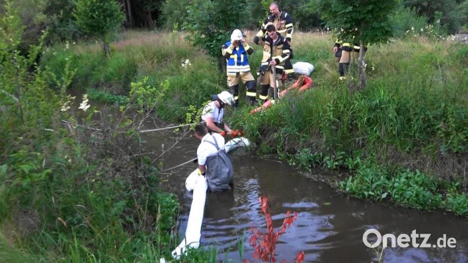 Ölsperren setzten Helfer der Feuerwehr Tirschenreuth nach einer Verschmutzung der Waldnaab beim Fischhofpark. Bild: nic