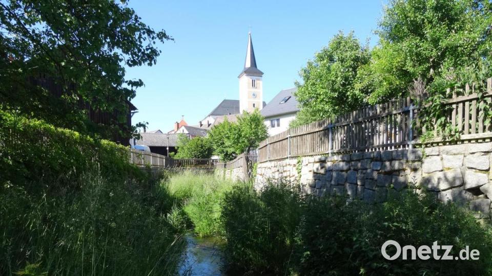 Grün überwuchert den Schirnitzbach im Bereich der „Bloich“. Bild: ak