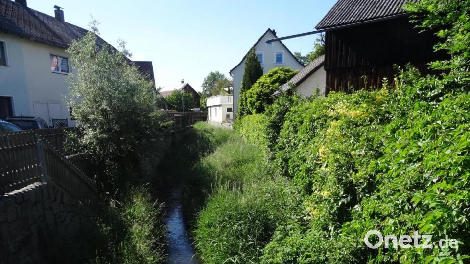 Der Schirnitzbach im Bereich der Ortsstraße "An der Wasserkante". Bild: ak