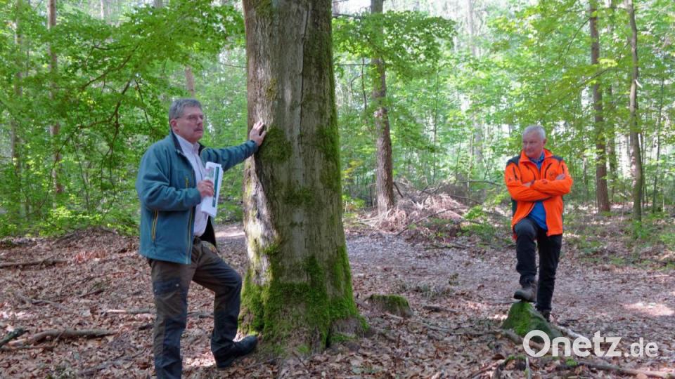Revierleiter Wolfgang Pröls (links) und Forstbetriebsleiter Norbert Zintl gaben detaillierte Erläuterungen. Bild: tr
