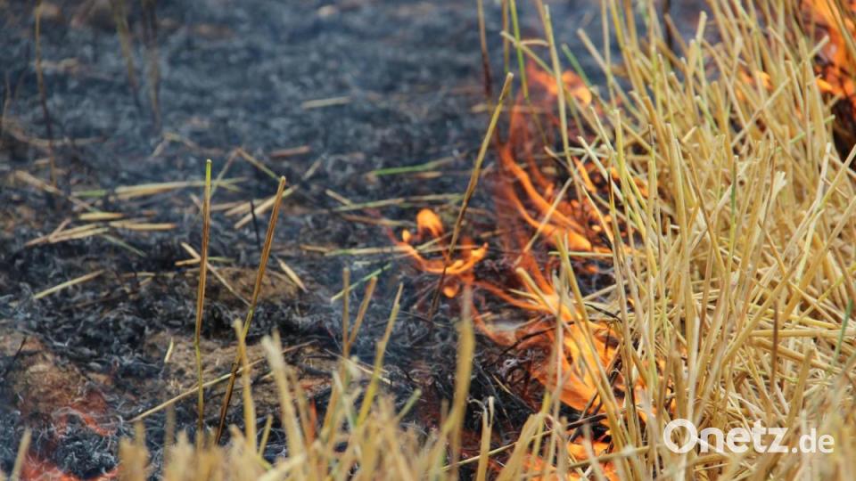 Was tun, wenn der Getreideacker brennt? Die Feuerwehr Freudenberg-Wutschdorf übte, wie man die Flammen bei Vegetationsbränden bekämpft. Bild: gri