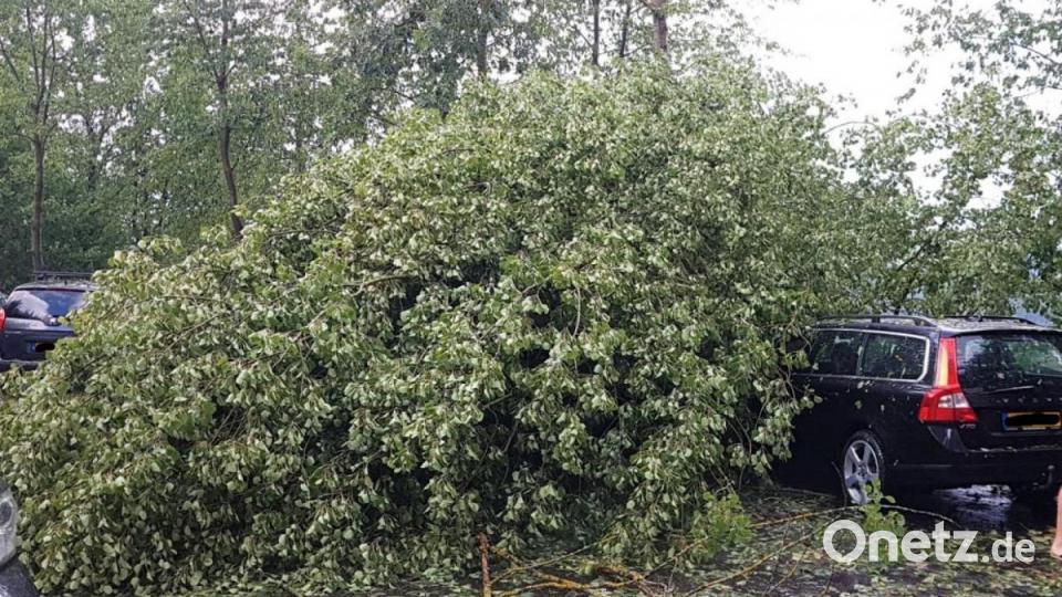 Insbesondere im Süden Bayerns und bei Regensburg hat es am Dienstag schwere Unwetter gegeben. Neben zahlreichen Sachschäden verletzten sich auch einige Menschen. Bild: Kreisbrandinspektion Cham