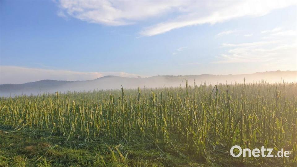 Insbesondere im Süden Bayerns und bei Regensburg hat es am Dienstag schwere Unwetter gegeben. Neben zahlreichen Sachschäden verletzten sich auch einige Menschen. Bild: Kreisbrandinspektion Cham