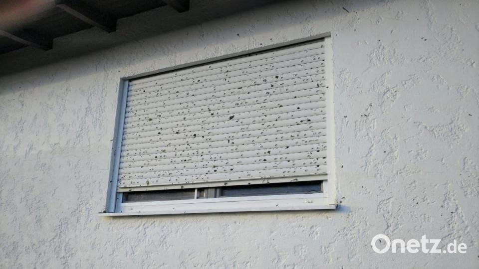 Insbesondere im Süden Bayerns und bei Regensburg hat es am Dienstag schwere Unwetter gegeben. Neben zahlreichen Sachschäden verletzten sich auch einige Menschen. Bild: Kreisbrandinspektion Cham