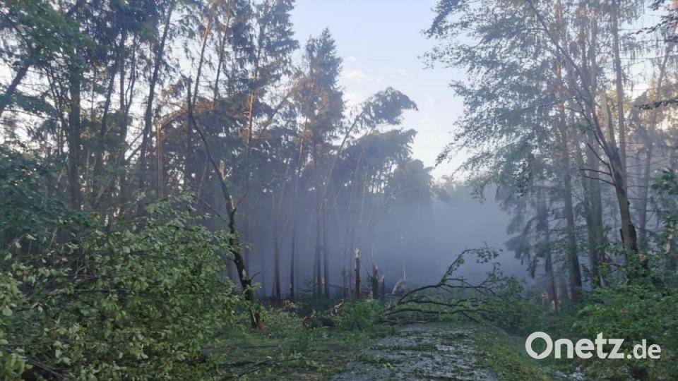 Insbesondere im Süden Bayerns und bei Regensburg hat es am Dienstag schwere Unwetter gegeben. Neben zahlreichen Sachschäden verletzten sich auch einige Menschen. Bild: Kreisbrandinspektion Cham