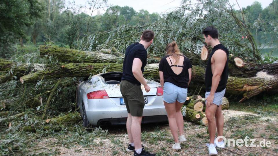 Unwetter zieht über die Landkreise Regensburg und Cham. Am Roither Weiher bei Neutraubling stürzen mehrere Bäume um. Bild: Alexander Auer