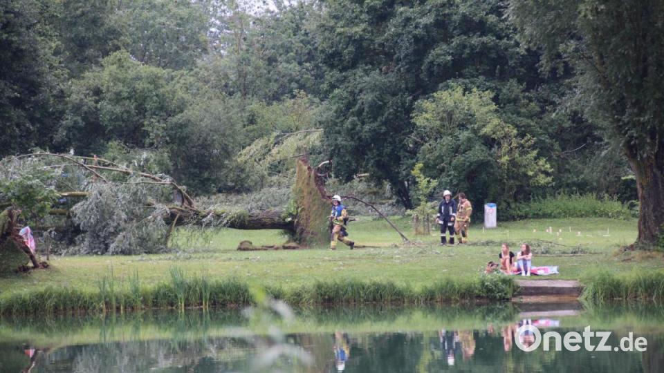 Unwetter zieht über die Landkreise Regensburg und Cham. Am Roither Weiher bei Neutraubling stürzen mehrere Bäume um. Bild: Alexander Auer