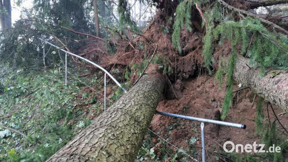 Insbesondere im Süden Bayerns und bei Regensburg hat es am Dienstag schwere Unwetter gegeben. Neben zahlreichen Sachschäden verletzten sich auch einige Menschen. Bild: Kreisbrandinspektion Cham