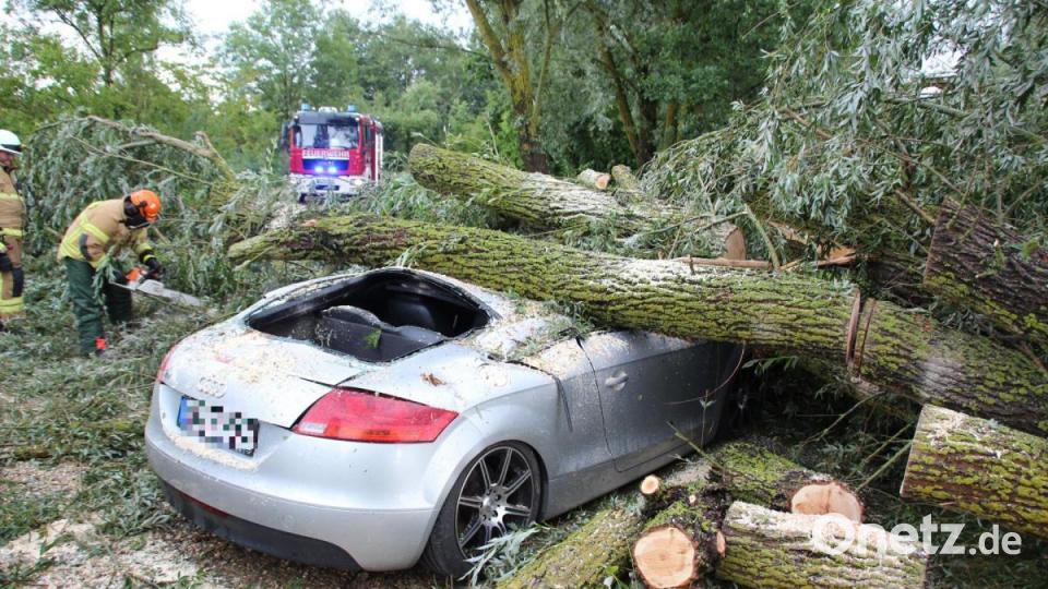 Unwetter zieht über die Landkreise Regensburg und Cham. Am Roither Weiher bei Neutraubling stürzen mehrere Bäume um. Bild: Alexander Auer