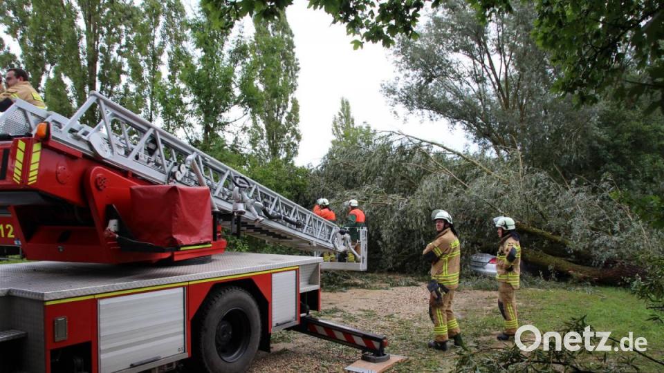 Unwetter zieht über die Landkreise Regensburg und Cham. Am Roither Weiher bei Neutraubling stürzen mehrere Bäume um. Bild: Alexander Auer