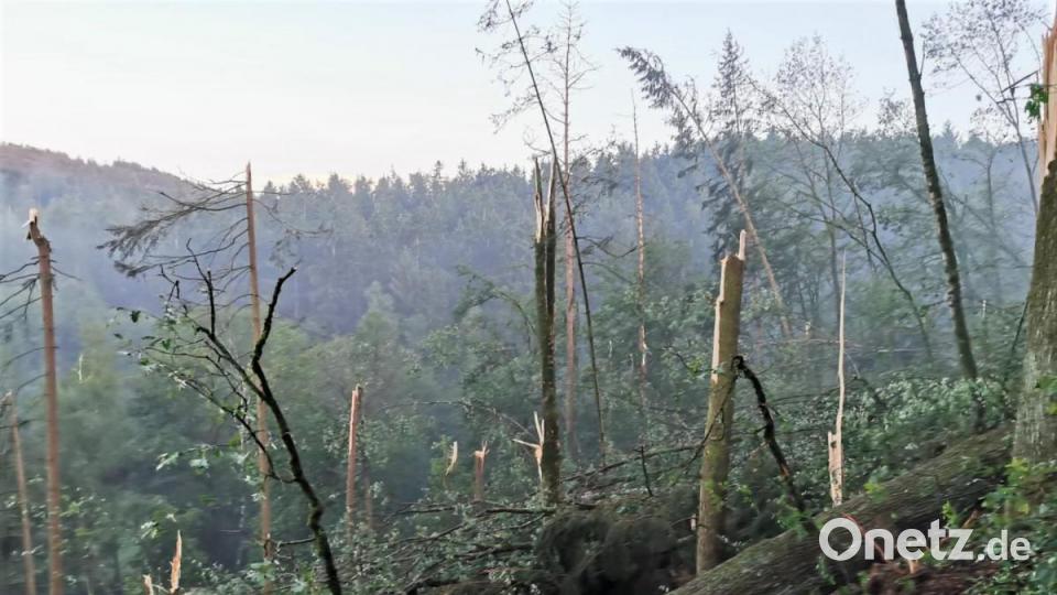 Insbesondere im Süden Bayerns und bei Regensburg hat es am Dienstag schwere Unwetter gegeben. Neben zahlreichen Sachschäden verletzten sich auch einige Menschen. Bild: Kreisbrandinspektion Cham