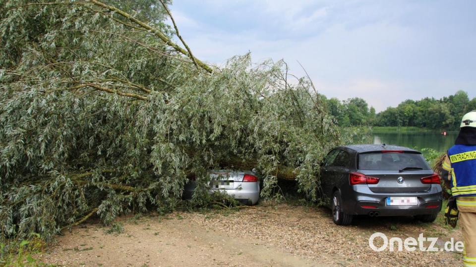Unwetter zieht über die Landkreise Regensburg und Cham. Am Roither Weiher bei Neutraubling stürzen mehrere Bäume um. Bild: Alexander Auer