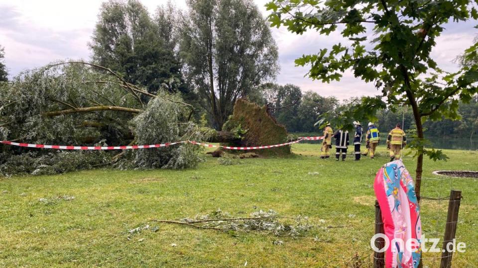 Unwetter zieht über die Landkreise Regensburg und Cham. Am Roither Weiher bei Neutraubling stürzen mehrere Bäume um. Bild: Alexander Auer