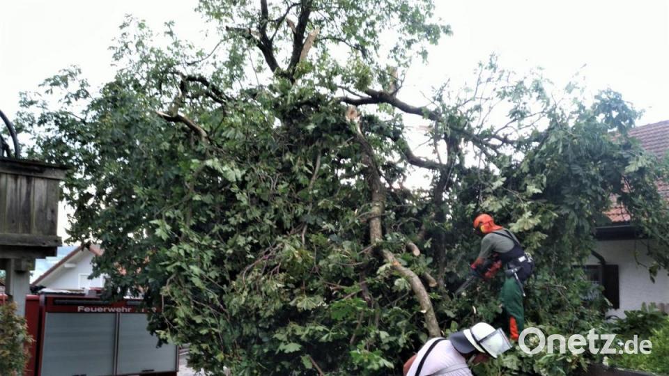 Insbesondere im Süden Bayerns und bei Regensburg hat es am Dienstag schwere Unwetter gegeben. Neben zahlreichen Sachschäden verletzten sich auch einige Menschen. Bild: Kreisbrandinspektion Cham