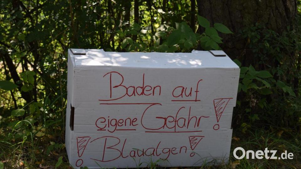 Hinweisschilder am Badeplatz weisen auf die Gefahr hin. Bild: bnr