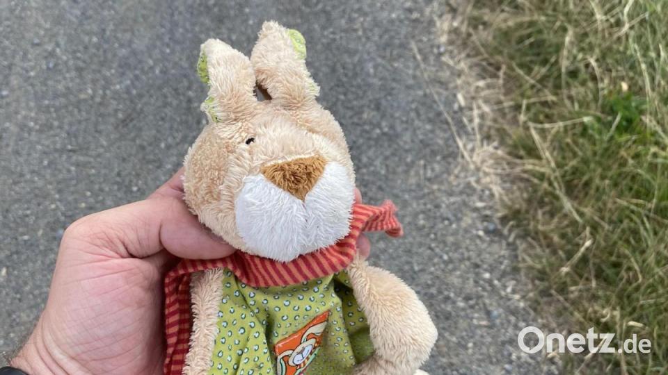Stoffhase Schnuffel sucht sein Zuhause – mit Hilfe von Neustadts Bürgermeister Sebastian Dippold. Bild: Dippold/exb