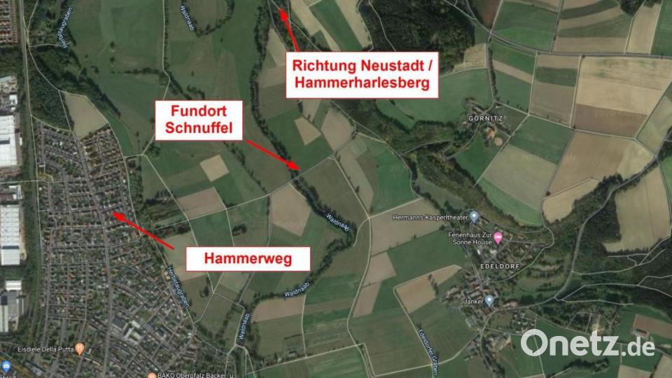 Hier wurde Schnuffel gefunden. Grafik: Dippold/exb