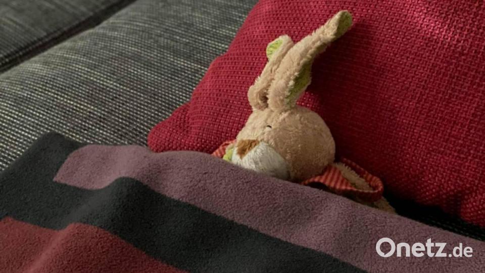 Bei Bürgermeister Dippold darf Stoffhase Schnuffel beim Warten auf seine Familie auf der Couch schlafen. Bild: Dippold/exb