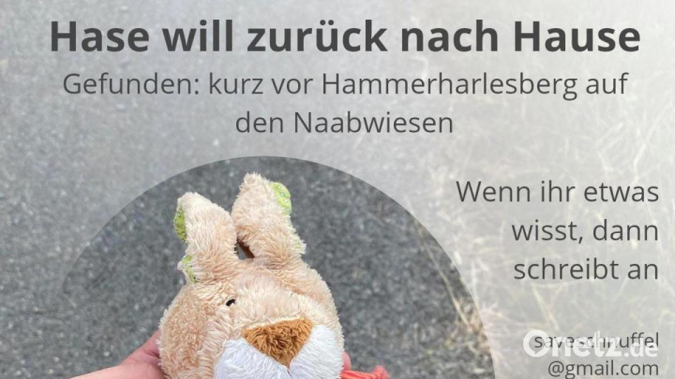 Stoffhase Schnuffel sucht sein Zuhause – mit Hilfe von Neustadts Bürgermeister Sebastian Dippold. Bild: Dippold/exb