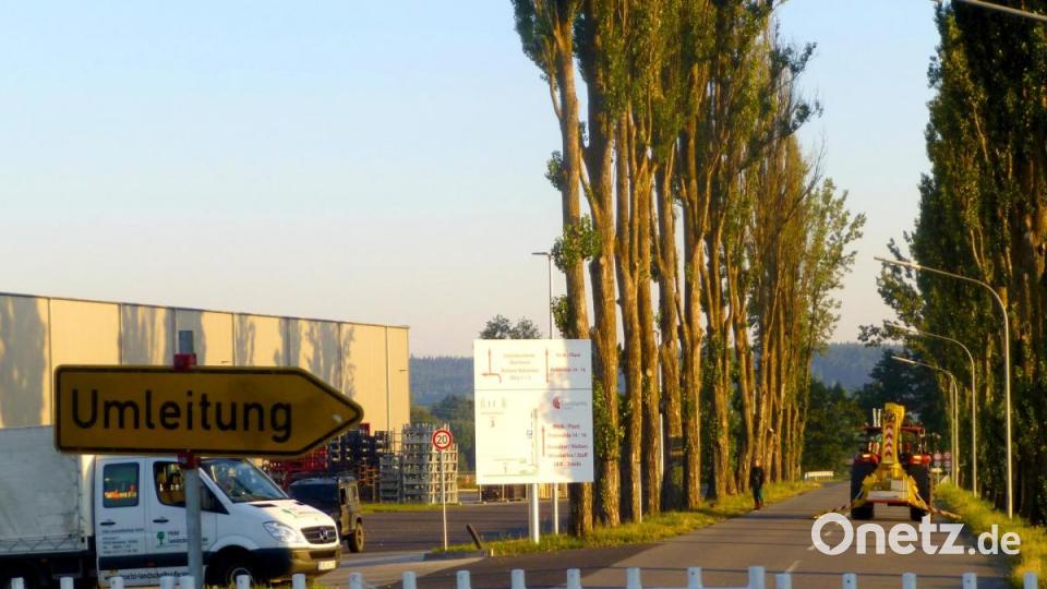 So sah die Pappelallee kurz vor der Baumfällung aus. Bild: fsb