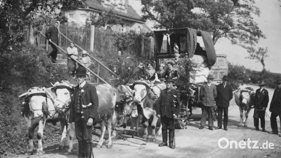 Max Wolfinger führte das Ochsengespann mit dem Kammerwagen an. Repro: hev