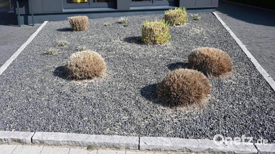 Mit Schottergärten gestalten viele Grundstücksbesitzer ihren Vorgarten. Archivbild: Carmen Jaspersen