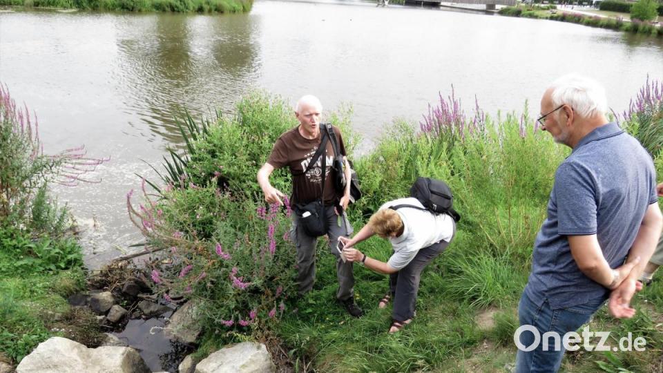 Natürlich sei auch das Wasser ei nwichtiges Kriterium für Artenvielfalt, sagte Erwin Möhrlein (links, am Wasser) Bild: ubb
