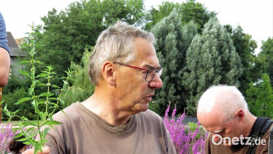 Umweltschützer Richard Schleicher zeigte den Exkursionsteilnehmern den Wolfsrapp. Woher der Name kommt, ist nicht bekannt. Bild: ubb