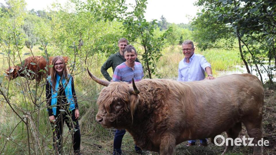 Nicole Bergler von der Unteren Naturschutzbehörde, Stadtförster Stefan Gradl und Bürgermeister Franz Stahl (von links) besuchen die Schottischen Hochlandrinder von Landwirt Martin Wolf (Zweiter von rechts) aus Immenreuth auf der &quot;Storchenwiese&quot; bei der Lodermühle. Bulle „Sandro“ genießt die Streicheleinheiten. Bild: Stadt Tirschenreuth/exb