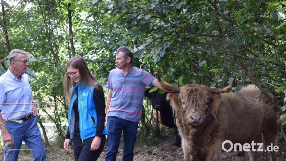Spaziergänger und Radler könnten die gemütlichen Tiere toll beobachten, findet Franz Stahl. Bild: szl