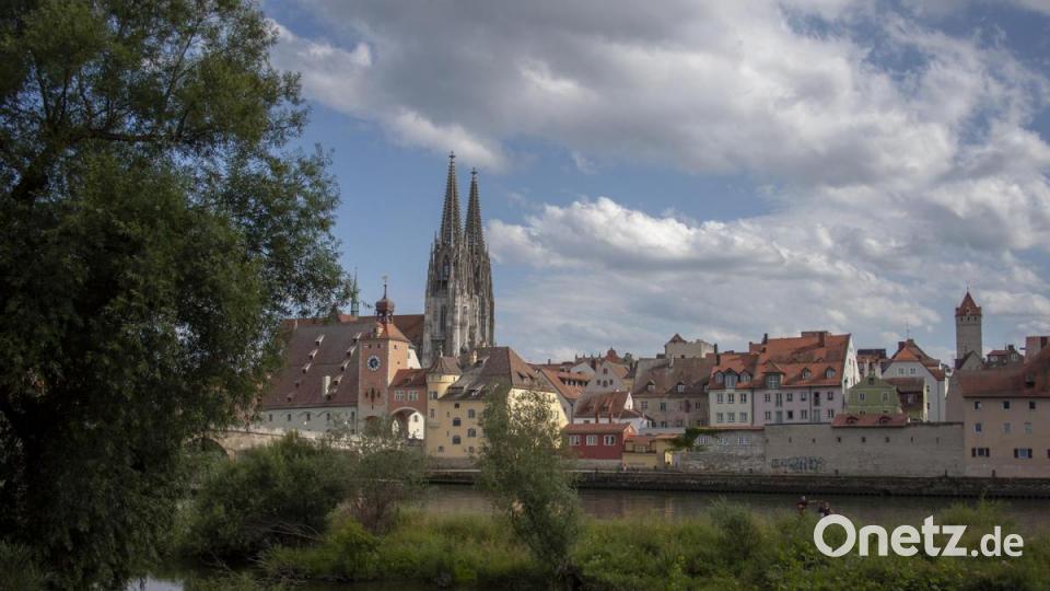 Entspannung mit Blick auf die Stadt Regensburg: Das ist am Wöhrd möglich. Bild: Peter Klein
