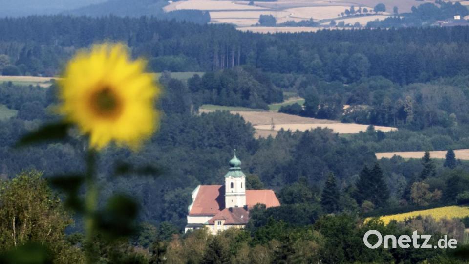 St. Felix in Neustadt im Sonnen(blumen)schein. Bild: Peter Klein