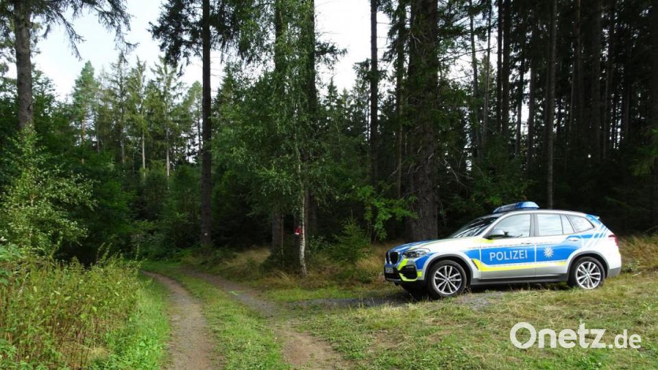Das Waldstück bei Bad Neualbenreuth, in dem ein Paar einen menschliche Schädel gefunden hat, ist abgesperrt. Die Polizei ist vor Ort. Bild: rti
