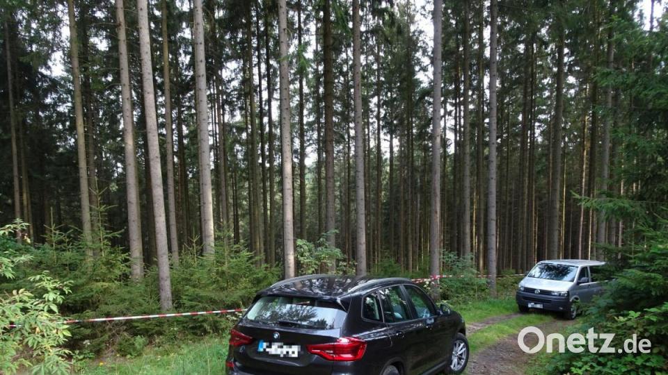Das Waldstück bei Bad Neualbenreuth, in dem ein Paar einen menschliche Schädel gefunden hat, ist abgesperrt. Die Polizei ist vor Ort. Bild: rti