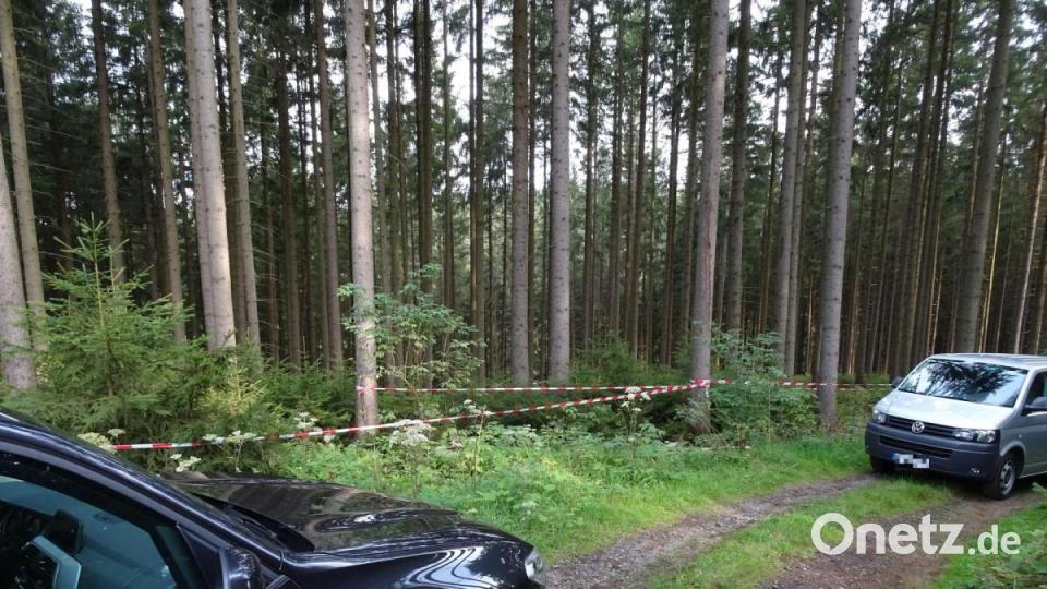 Das Waldstück, in dem ein Paar einen menschliche Schädel gefunden hat, ist abgesperrt. Die Polizei ist vor Ort. Bild: rti