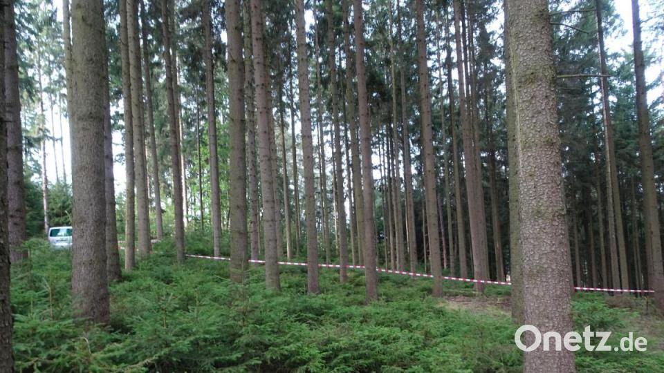 Das Waldstück bei Bad Neualbenreuth, in dem ein Paar einen menschliche Schädel gefunden hat, ist abgesperrt. Die Polizei ist vor Ort. Bild: rti