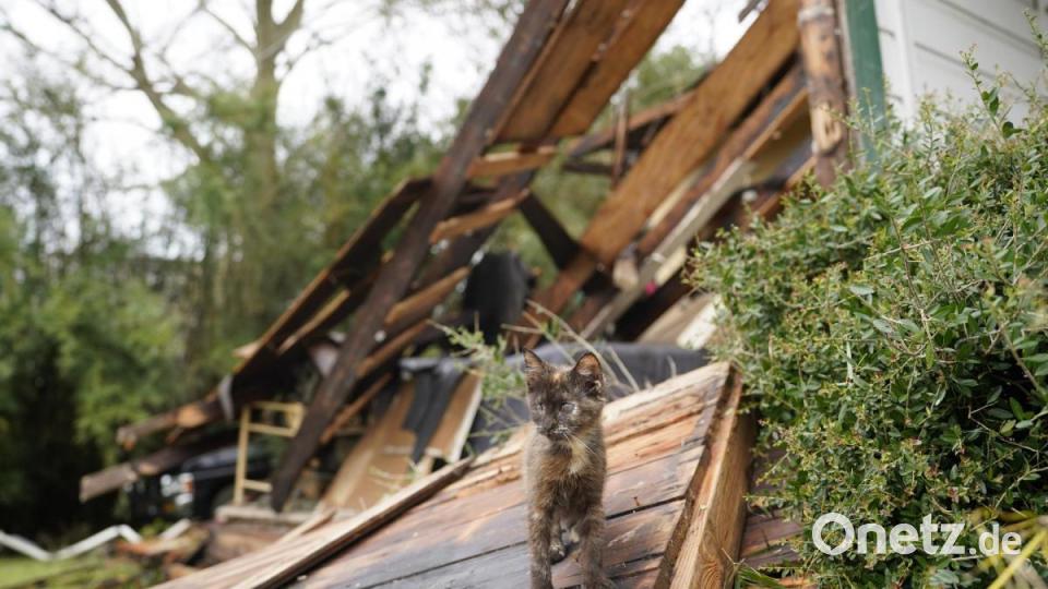 Der Hurrikan „Laura“ hat die Küste von Louisiana hart getroffen. Hunderttausende Menschen sind betroffen. Bild: Gerald Herbert