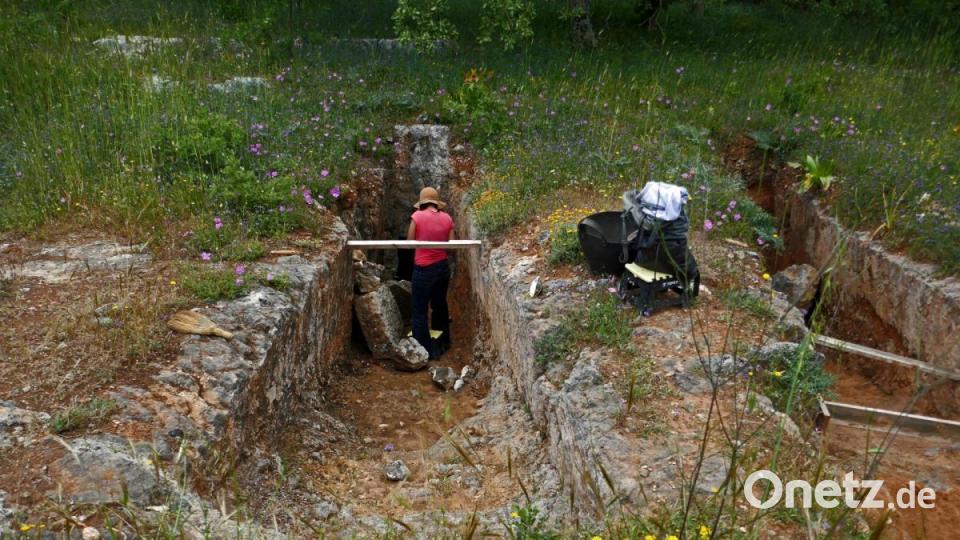 Südlich der Stadt befindet sich die Nekropole Armeni, eine Totenstadt aus spätminoischer Zeit. In einem Hain aus Wallonen-Eichen wurde 1969 per Zufall der ehemalige Friedhof entdeckt, auf dem bis jetzt mehr als 230 Familiengräber freigelegt wurden. Bild: Johann Gmeiner