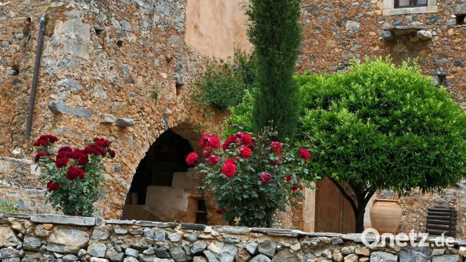 Immer wieder fielen den Reisenden die wunderschönen Rosen auf. Bild: Johann Gmeiner