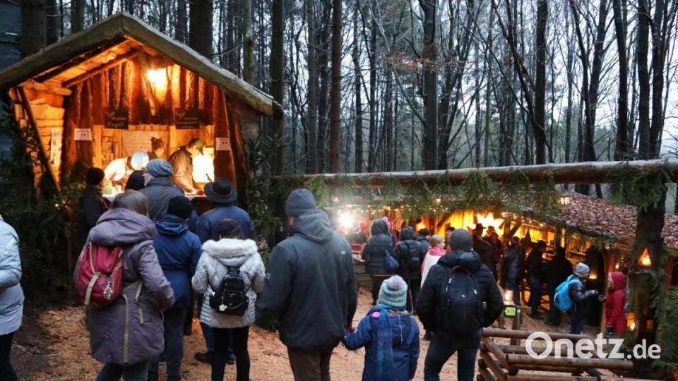 Advent im Wald Bild: Gerhard Götz