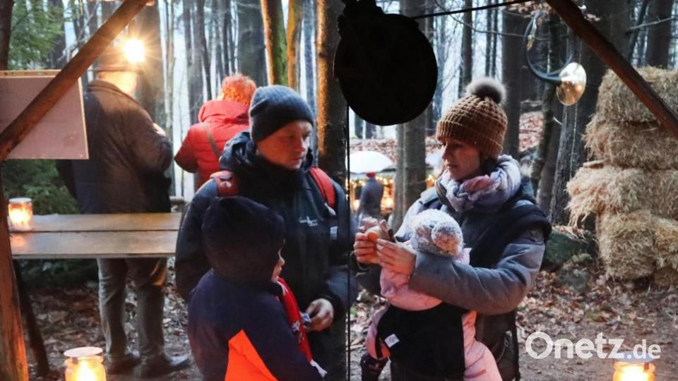 Advent im Wald Bild: Gerhard Götz