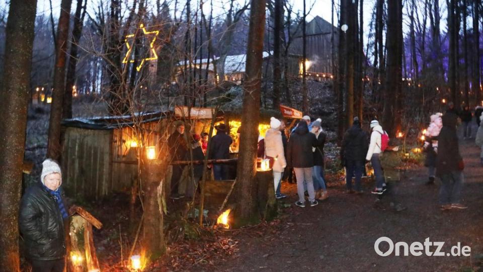 Advent im Wald Bild: Gerhard Götz