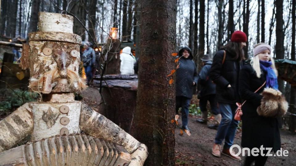 Fantasievolle Schnitzereien begleiteten die Marktbesucher durch die Runde im Wald bei Friedrichshäng. Bild: Gerhard Götz