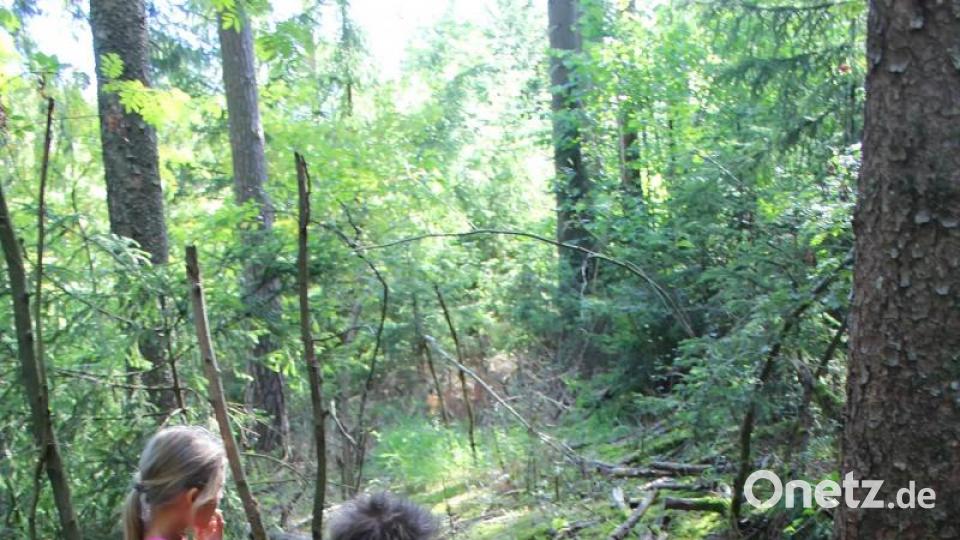 Der Naturpark-Ranger sieht sofort: Hier waren kürzlich noch Wildschweine unterwegs. Bild: Evi Wagner