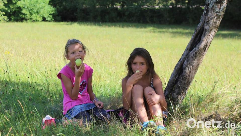 Selbstgepflückt schmeckt einfach besser: Ida und Ronja lassen sich Äpfel von der Streuobstwiese schmecken. Bild: Evi Wagner